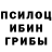 Псилоцибиновые грибы Magic Shrooms Vladimir_ Bassilon