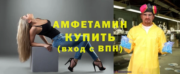 шишки Балахна
