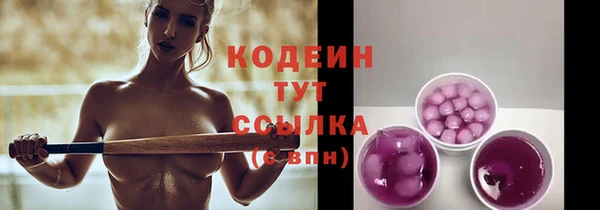 шишки Балахна