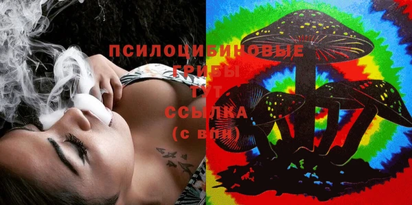 шишки Балахна