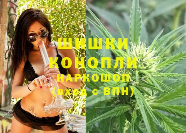 шишки Балахна