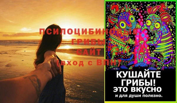 шишки Балахна