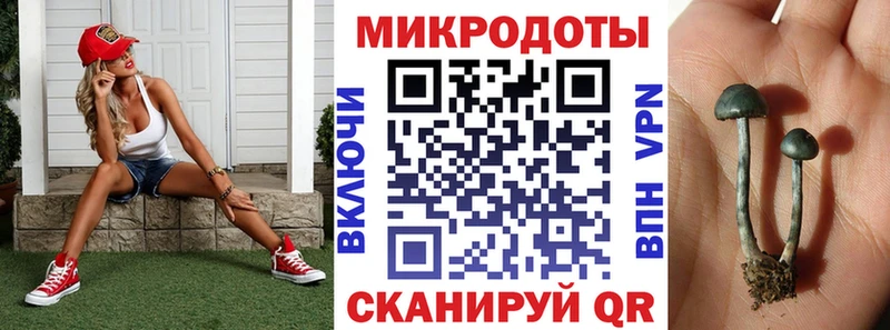 что такое наркотик  Волгореченск  Псилоцибиновые грибы Cubensis 